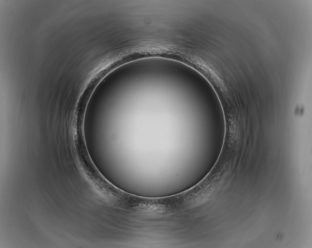 X0000097460582200802221216