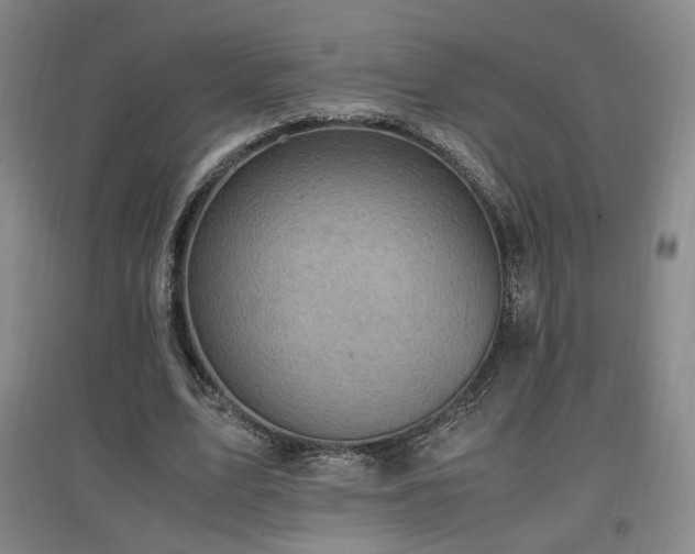 X0000097460583200802221215