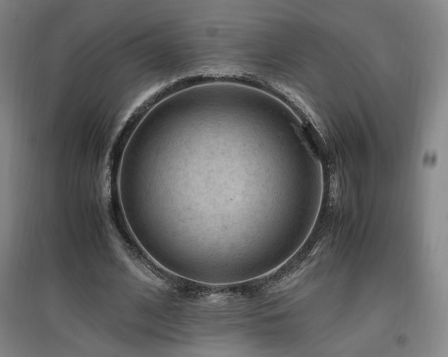 X0000097460584200802221215
