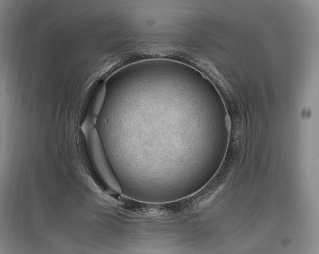 X0000097460585200802221215