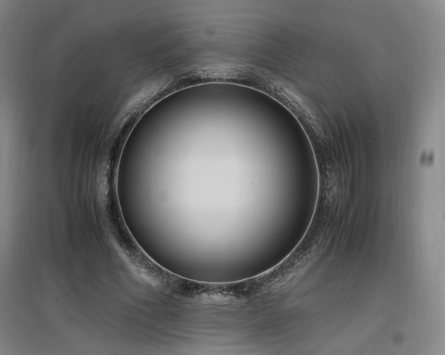 X0000097460586200802221215
