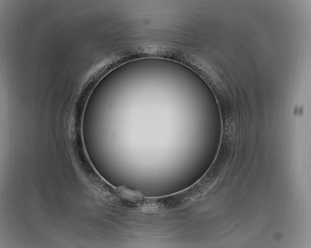 X0000097460587200802221215