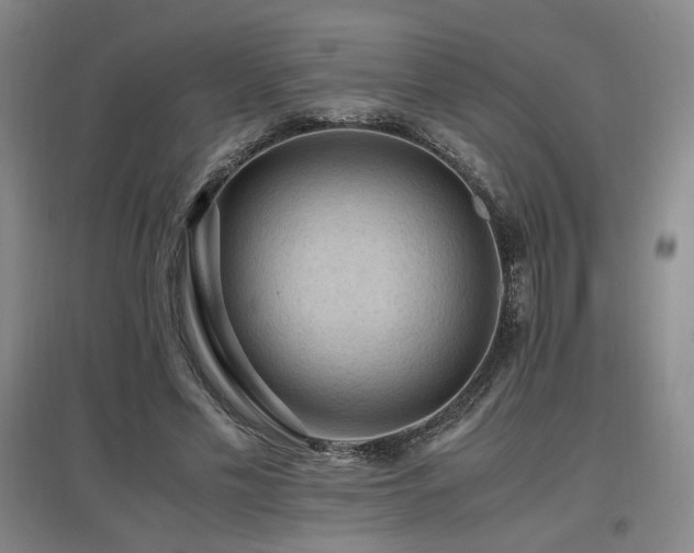 X0000097460589200802221215