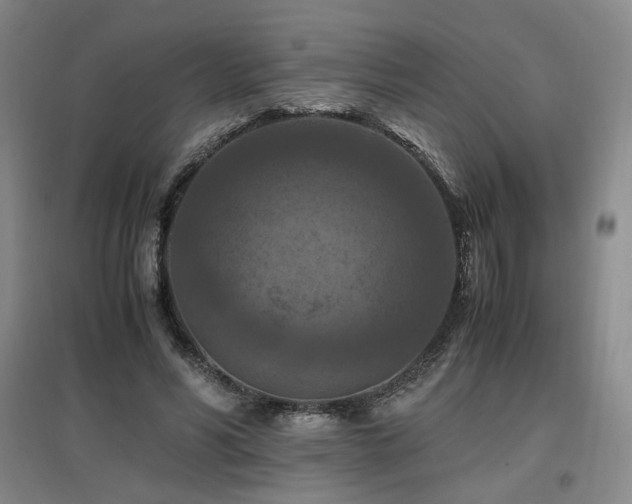 X0000097460590200802221215