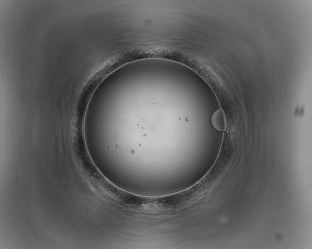 X0000097460591200802221215