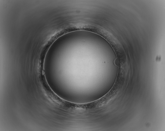 X0000097460592200802221215
