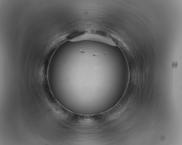 X0000097460594200802221215