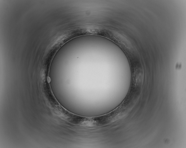 X0000097460595200802221215