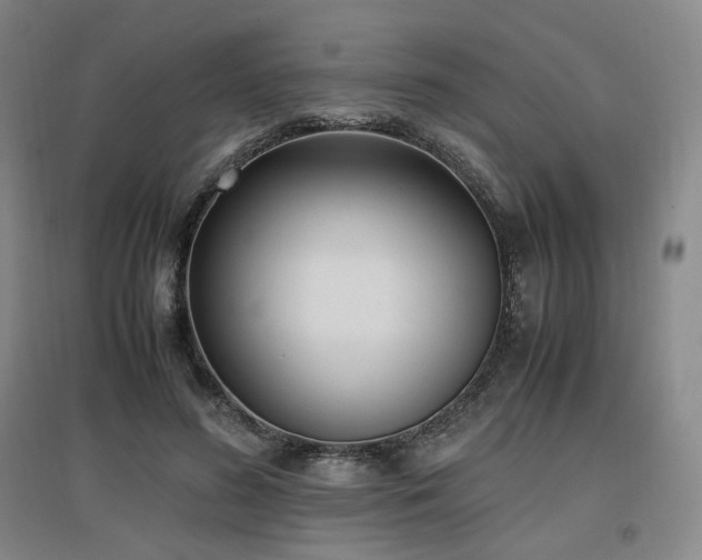 X0000097460596200802221215