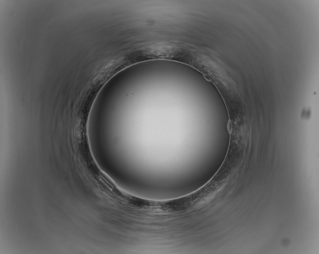 X0000097460597200802221215