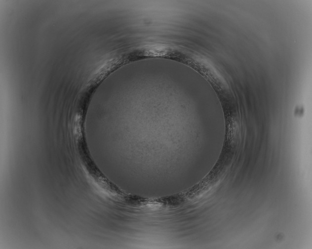 X0000097460598200802221215