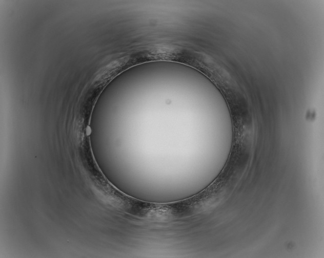 X0000097460599200802221215