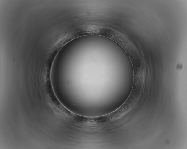 X0000097460600200802221215