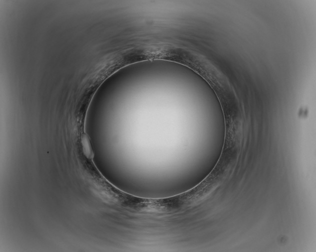 X0000097460601200802221215