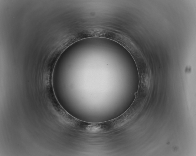 X0000097460602200802221215