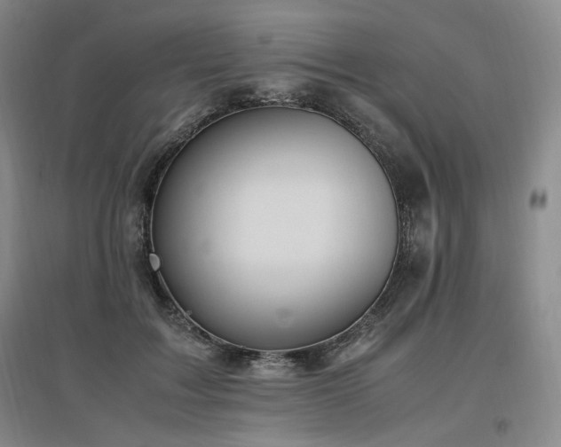 X0000097460603200802221215