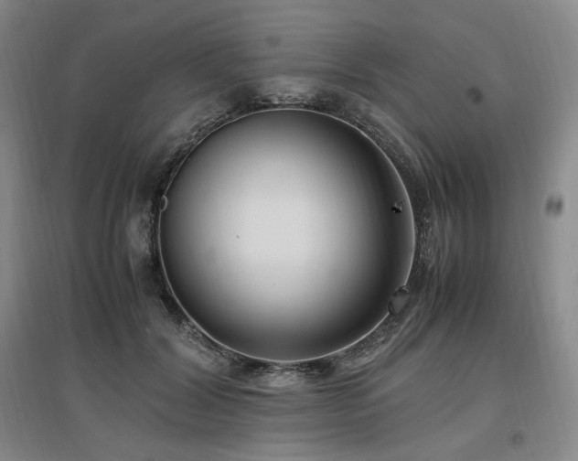 X0000097460604200802221215