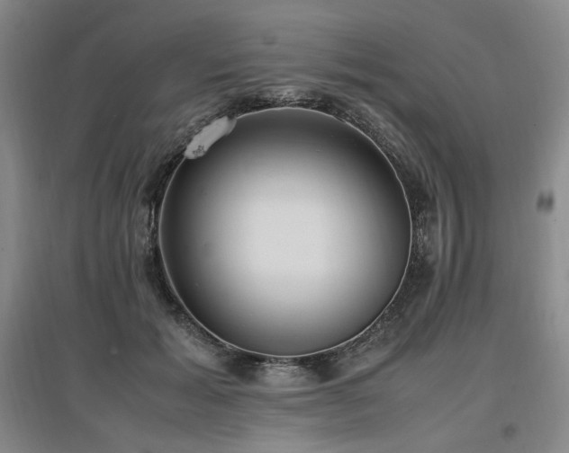 X0000097460605200802221215