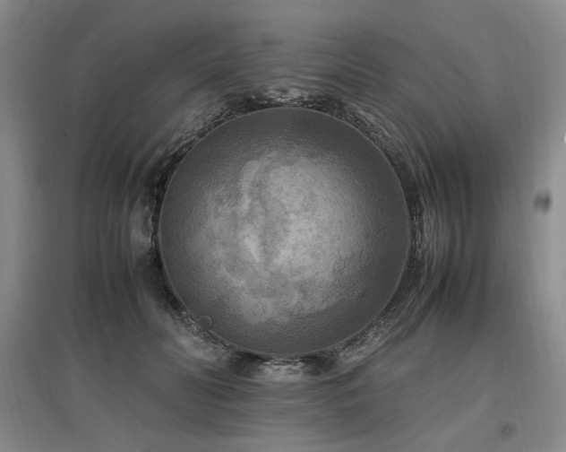 X0000097460606200802221215