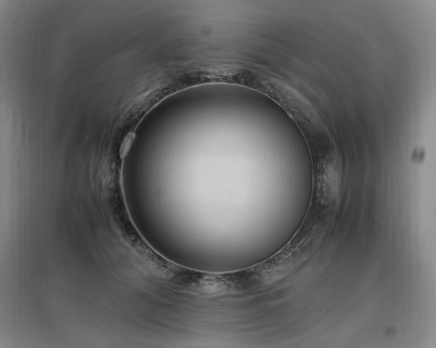 X0000097460608200802221215