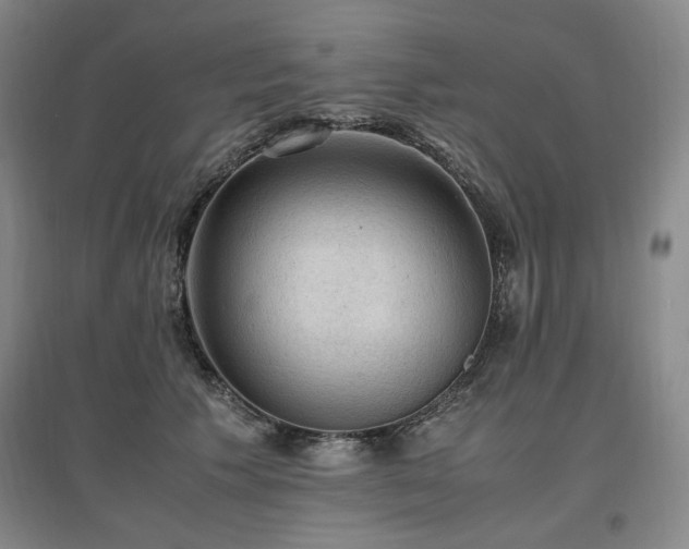 X0000097460609200802221215