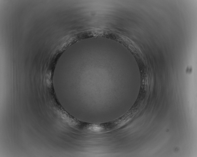 X0000097460610200802221215