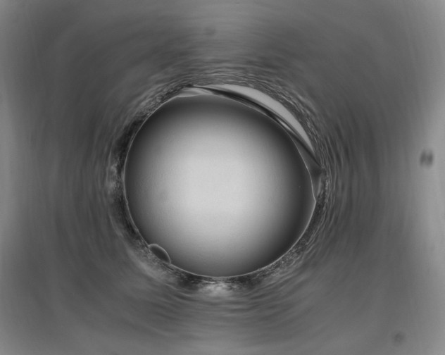 X0000097460611200802221215