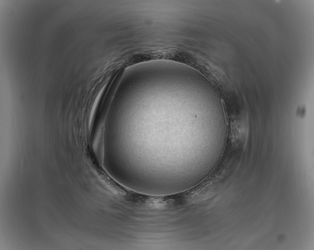 X0000097460613200802221215