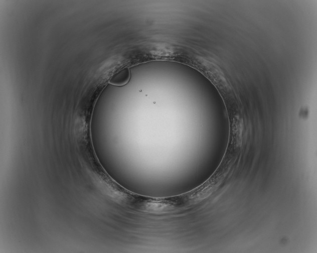 X0000097460614200802221215