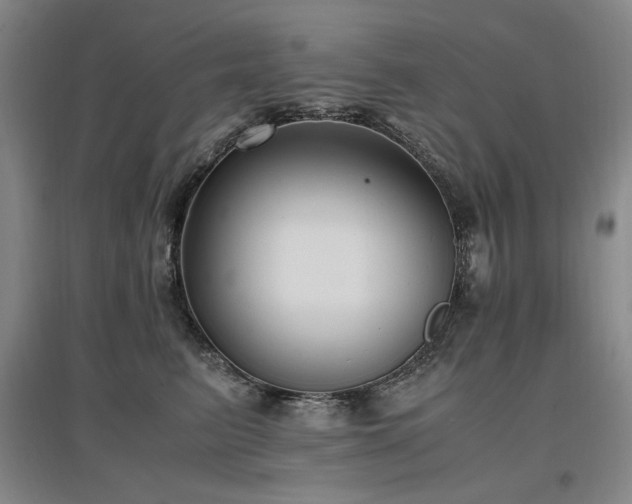 X0000097460615200802221215