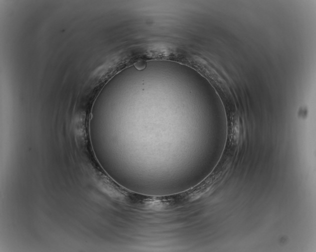 X0000097460616200802221215