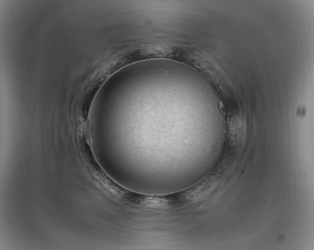 X0000097460617200802221215