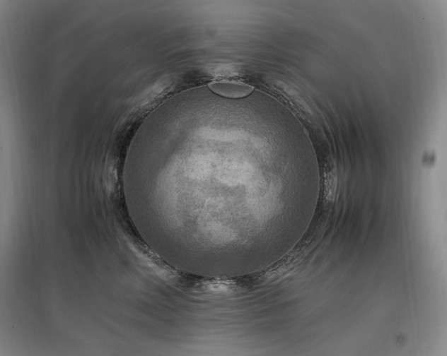 X0000097460618200802221215