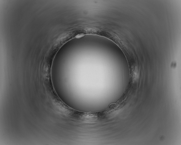 X0000097460619200802221215