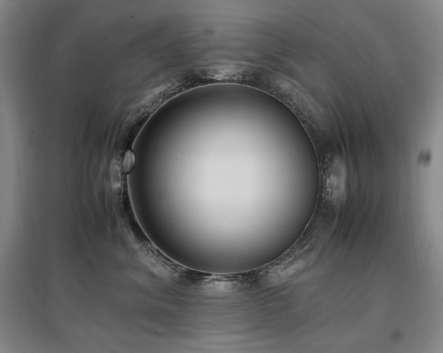 X0000097460620200802221215