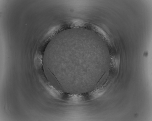 X0000097460621200802221215