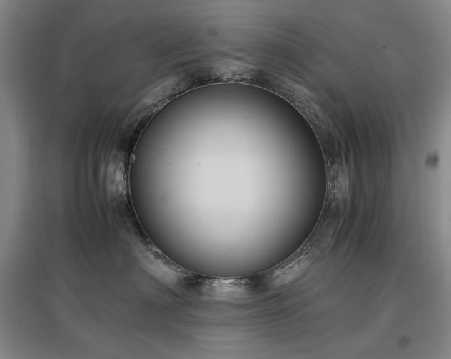 X0000097460622200802221215