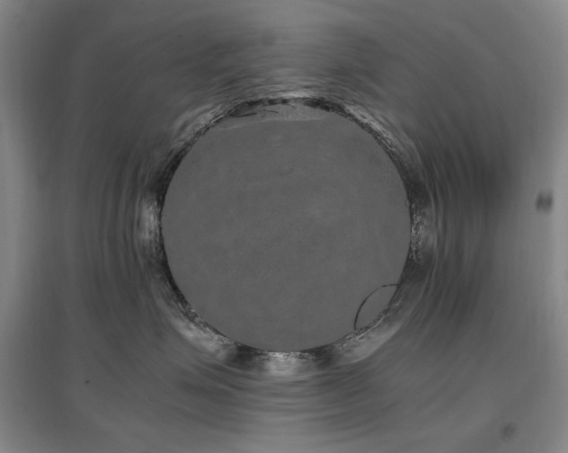 X0000097460623200802221215