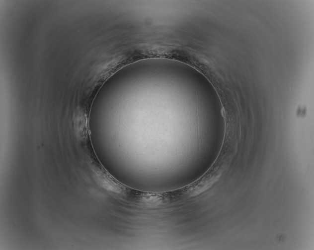 X0000097460624200802221215