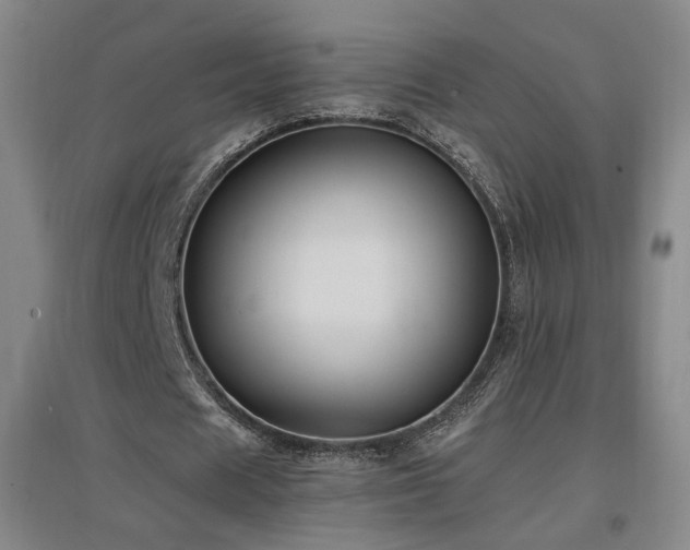 X0000097460625200802221214