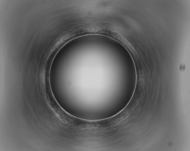 X0000097460626200802221214