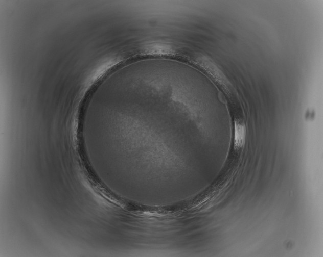 X0000097460627200802221214