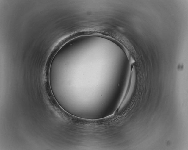 X0000097460628200802221214