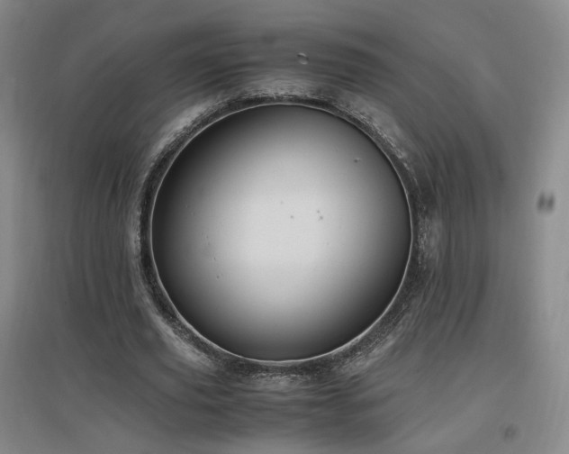 X0000097460629200802221214