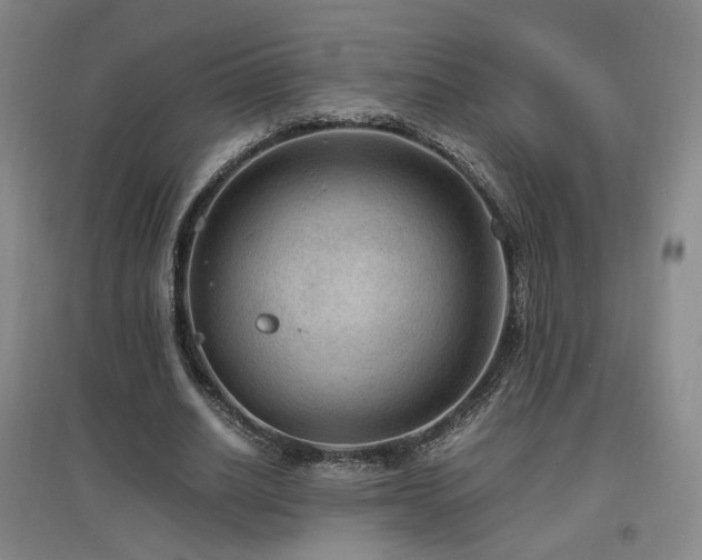 X0000097460630200802221214