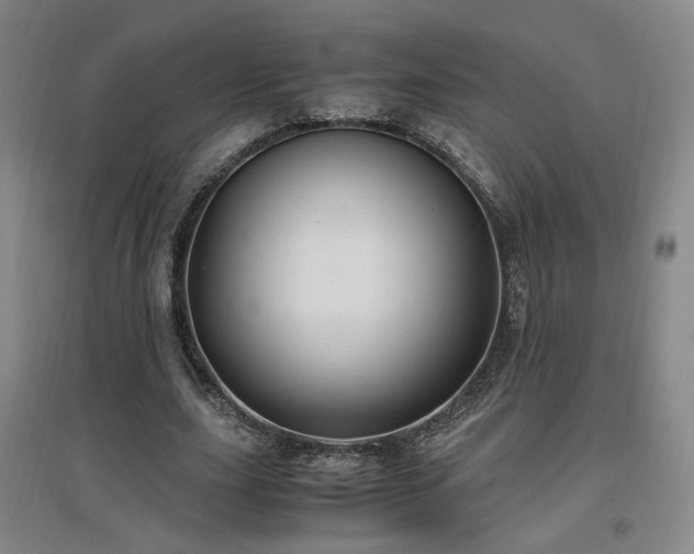 X0000097460631200802221214