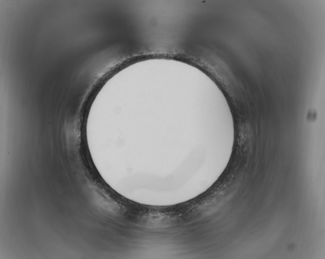 X0000097460632200802221214