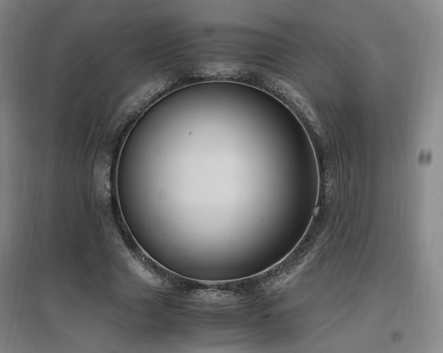 X0000097460633200802221214