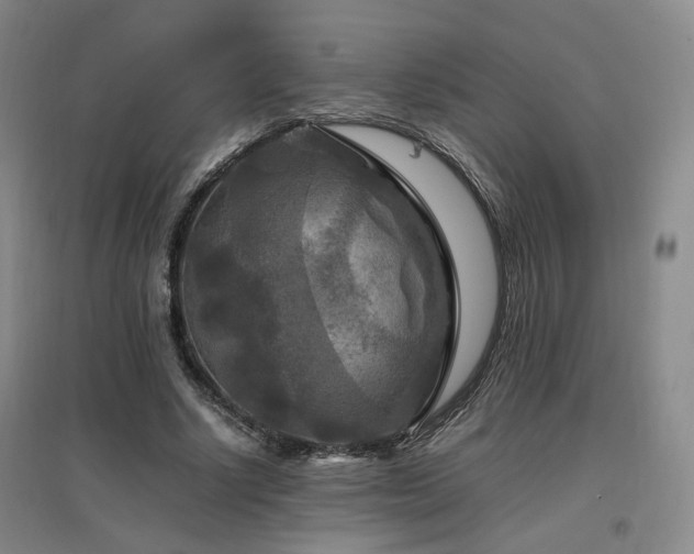X0000097460634200802221214