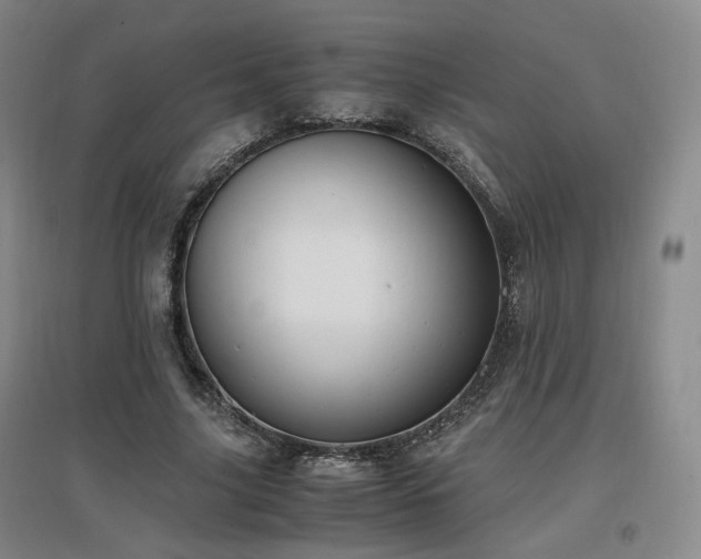 X0000097460635200802221214